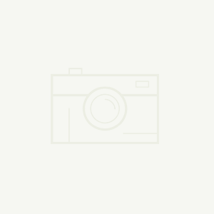 精工公司召开网络销售工作座谈会